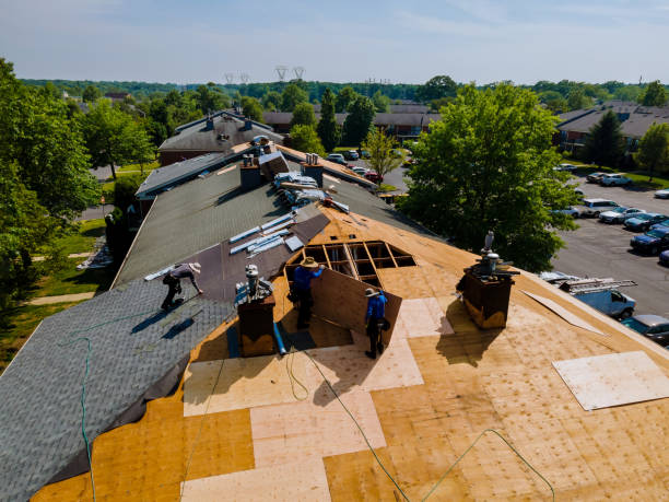 Best Commercial Roofing Services  in Sun Prairie, MT
